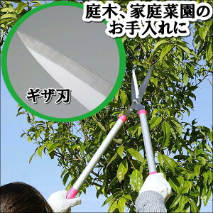  nT~  ͂  荞݁yMUnŃNNInT~zA~pCv y Trɂ }؂ }oT~ a 15~ \   ƒ؉   | 