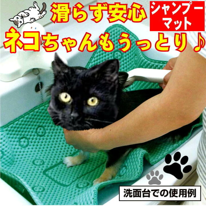 楽天市場 ペットマット ネコシャンプーマット ペット滑り止めマット 犬シャンプー ワンちゃんシャンプー ペットシャンプーマット 滑り止めマット すべりにくい ワンだ 犬猫お風呂 犬猫用マット シャンプーマット R 8550 クッションマット 犬 ネコ 送料無料 サン