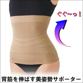 楽天市場 ぎっくり 背中 コルセット 矯正グッズ 健康グッズ ダイエット 健康の通販 楽天市場 ぎっくり 背中 コルセット 矯正グッズ 健康グッズ ダイエット 健康の通販