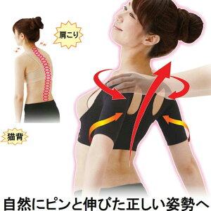 Lw ␳ T|[^[ p  xg Ci[y쎮 yz  ɂ c \h ΍ ֗ ObY ̘r  w w b x L΂  p T|[g 