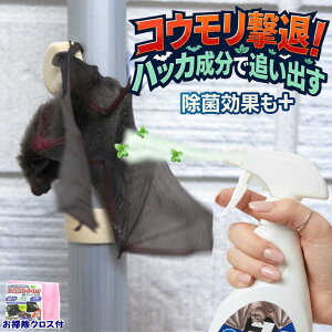 ���i�摜