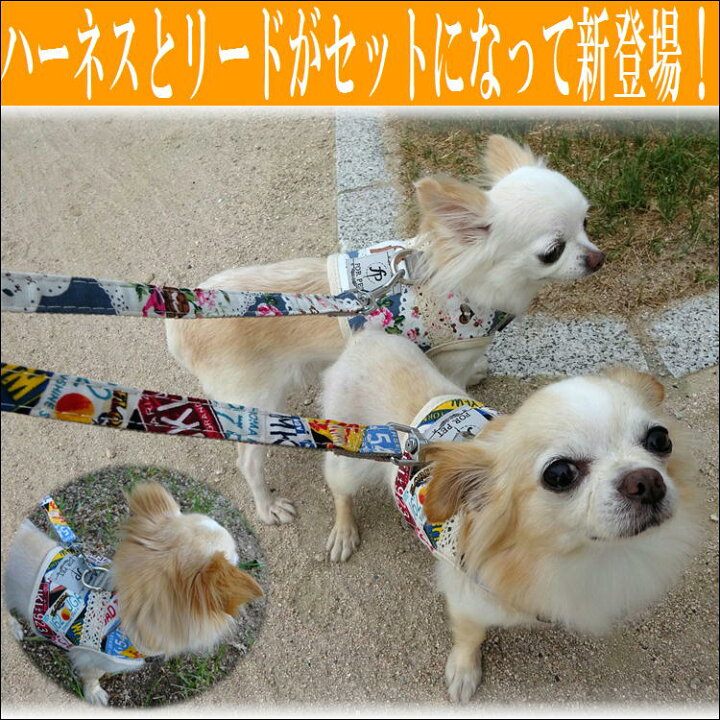 楽天市場 ハーネス 小型犬 リード 可愛い 犬 胴輪 ペット 首輪 犬用品 犬具 ペット グッズ イヌ 子供用 散歩 お出かけ おしゃれ 犬服 かわいい 犬首輪 犬用 簡単装着 ペット用 ハーネスリードセット 送料無料 サンロード楽天市場店