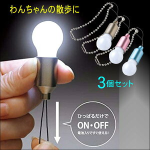 ミニライト Ledの通販 価格比較 価格 Com