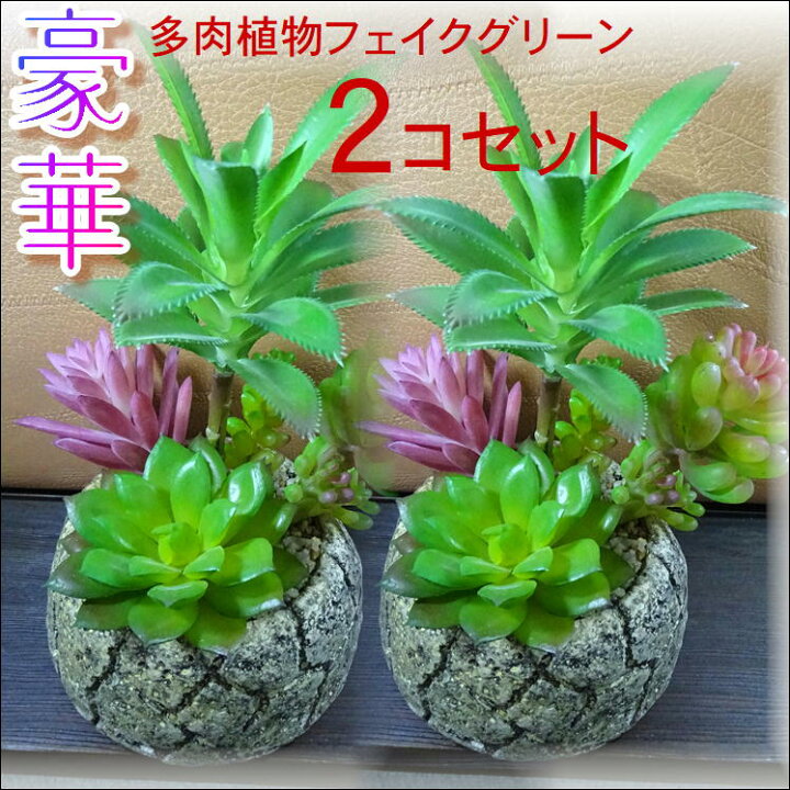 楽天市場】人工観葉植物 フェイクグリーン【2個組 寄せ植え】観葉植物 