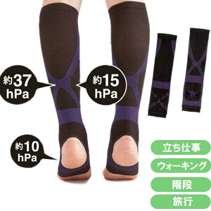  ӂ͂  e[sO T|[^[  Œ   s T|[g ɂ  S y ֗ ObYy҂ ӂ͂ e[sOT|[^[ẑ ނ 