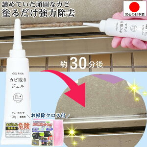 JrWF ŋ hA pbL Jr  Jr ꔭ  |NX1t JrWF `[u^Cv SpbL ^Cڒn Jr Ɩp C| Jr 