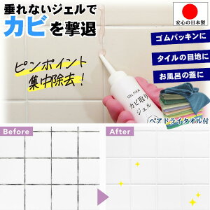 C pbL Jr WF Jr Jr Ɩp vdl C Ȃ  hA pbL Ȃ łȉ Jr  Jr ꔭ  SpbL ^C