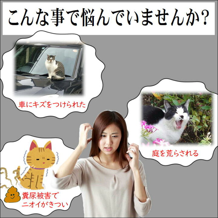 楽天市場 猫 猫よけ 強力 ねこよけ のらねこ 対策 便利 グッズ 薬 忌避 猫避け 野良 ネコ ねこ 撃退 忌避剤 花壇 駐車場 玄関 堀 柱 嫌いな臭い シャットアウト よけ 糞 おしっこ 糞害 いたずら 悩み 解消 分包 雨の日
