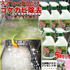 カビ取り コケ取り スプレー【420ml x5本組】ベランダ 壁 掃除 外壁 こけ かび 除去 墓石 黒ずみ 対策 大掃除 便利 グッズ 梅雨 長雨 ジメジメ カビ 苔 防止 簡単 おそうじ 門柱 玄関 ブロック塀 カーポート 汚れ 黒カビ 防錆剤 掃除用品コケカビ取り 日本製 おまけ付