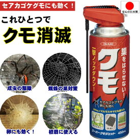 クモ 駆除 害虫 忌避剤 屋外 クモジェット 強力 蜘蛛の巣 対策 便利グッズ【イカリ消毒 スーパークモジェット2Way 450mL】くも いなくなる 殺虫スプレー ガーデニング プランター セアカゴケグモ 退治 方法 外壁 ベランダ 軒下 屋根 庭 側溝 虫除け あす楽 即納 日本製