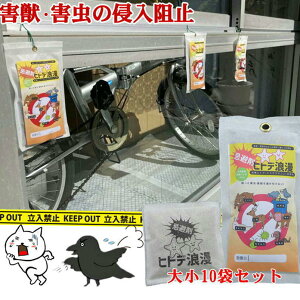 qgf  Q Qb  쏜  JX悯 ng悯 ǔL悯 ΍ ObYyqgfQzVR  ЂƂ CmVV T VJ iNW JV  AuV 񂹂
