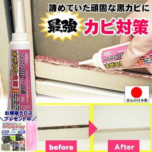 Jr WF C ŋ Jr ꔭ  JrƂ sN̂ӂ΂JrƂ110  CȂ Jr ΍ hA pbL Jr  ^C ڒn S   炸 C 