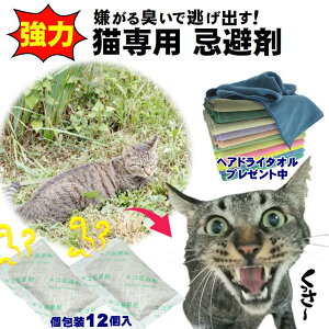  L 񂹕tȂ ΍ L   ǔLӂ΍ lRp ₪ { p z  wAhC^I ܂t L  S~ O ˂ Qb΍ q 