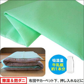 楽天市場 押入れ カビ 対策 グッズの通販