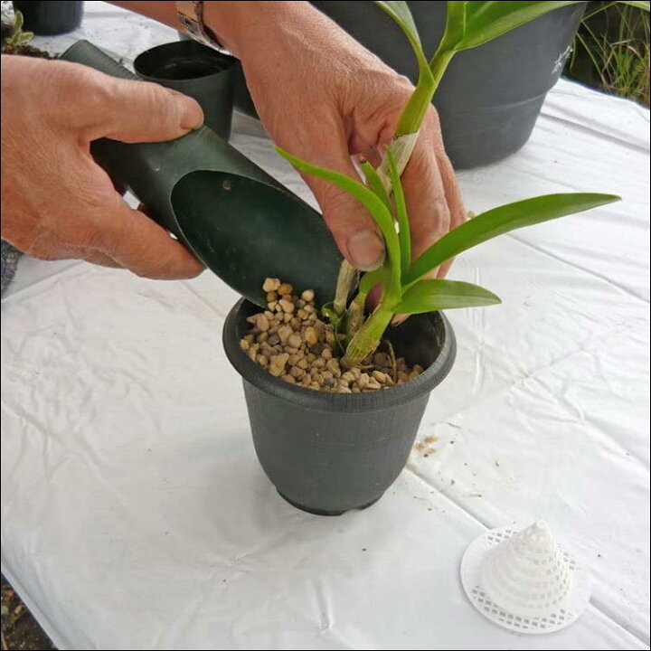 楽天市場 鉢底ネット 鉢底 植木鉢 プランター 鉢植え 花壇 ガーデニング 根腐れ 予防 対策 便利 グッズ 水はけ 円錐状 水やり 簡単 鉢底石 不要 後始末 楽々 生活 応援 支援 うれしい アイテム 母の日 父の日 プレゼント 贈り物 日本製 百花爛漫
