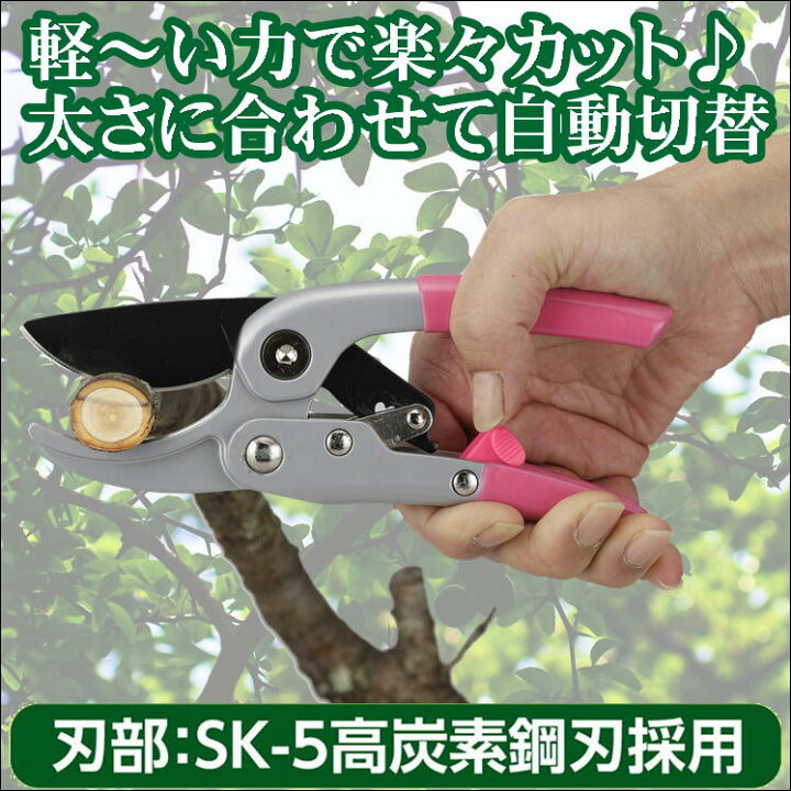 楽天市場 剪定鋏 園芸 ガーデニング 枝切 はさみ 植木 手入れ 便利 グッズ 4段ラチェット式 スムーズ 剪定ハサミ 農業 農作業 畑仕事 Diy 刈込 ハサミ 剪定はさみ 花 バサミ 切れ味抜群 ばさみ 庭 掃除 フラワーアレンジメント リース 門松作り ワークショップ 生活
