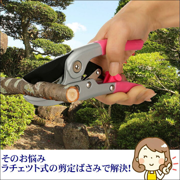楽天市場 剪定鋏 園芸 ガーデニング 枝切 はさみ 植木 手入れ 便利 グッズ 4段ラチェット式 スムーズ 剪定ハサミ 農業 農作業 畑仕事 Diy 刈込 ハサミ 剪定はさみ 花 バサミ 切れ味抜群 ばさみ 庭 掃除 フラワーアレンジメント リース 門松作り ワークショップ 生活 楽天市場 剪定鋏 園芸 ガーデニング 枝切 はさみ 植木 手入れ 便利 グッズ 4段ラチェット式 スムーズ 剪定ハサミ 農業 農作業 畑仕事 Diy 刈込 ハサミ 剪定はさみ 花 バサミ 切れ味抜群 ばさみ 庭 掃除 フラワーアレンジメント リース 門松作り ワークショップ 生活
