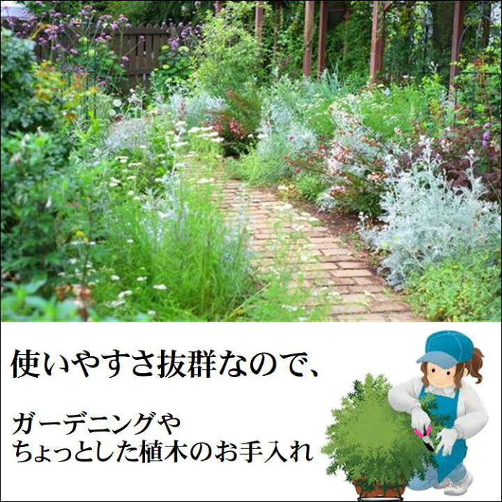 楽天市場 剪定鋏 園芸 ガーデニング 枝切 はさみ 植木 手入れ 便利 グッズ 4段ラチェット式 スムーズ 剪定ハサミ 農業 農作業 畑仕事 Diy 刈込 ハサミ 剪定はさみ 花 バサミ 切れ味抜群 ばさみ 庭 掃除 フラワーアレンジメント リース 門松作り ワークショップ 生活