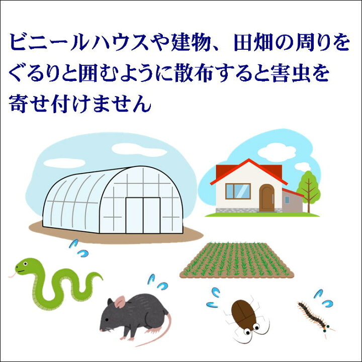 楽天市場】カラスよけ ハトよけ ネズミよけ 野良猫よけ ヒトデ 忌避剤 害虫 害獣 除け 駆除 撃退 対策 グッズ【ヒトデ浪漫】天然忌避剤 乾燥  ひとで イノシシ サル シカ ナメクジ ムカデ アブラムシ アオムシ カメムシ カイガラムシ 忌避 防虫 防鳥 防獣 畑 園芸 農業 資材