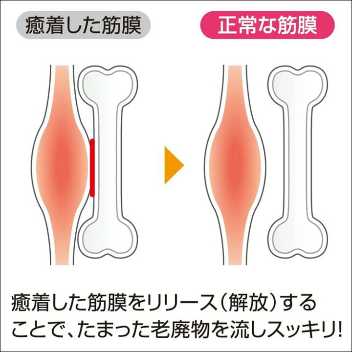 楽天市場 マッサージローラー スティック フォームローラー 固い 脂肪 凝り セルライト 筋膜 リリース 美容 便利 グッズ セルフ ビューティー ローラー セルビー 背中 二の腕 肩 首 お腹 脇腹 お尻 太もも ふくらはぎ ほぐし 自宅 簡単 セルフケア 生活 応援 支援