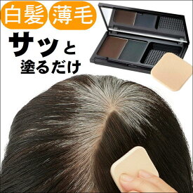 楽天市場 ヘアカラー ダークグレーの通販 楽天市場 ヘアカラー ダークグレーの通販