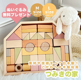 【P20倍！】 ╲ぬいぐるみプレゼント！／ エドインター パステルカラー 積み木 M L 木の玩具 知育玩具 子供 キッズ 赤ちゃん ベビー おもちゃ ギフト 出産祝い 男の子 女の子 ベビーギフト クリスマス 誕生日 プレゼント 1歳 2歳 3歳　4歳