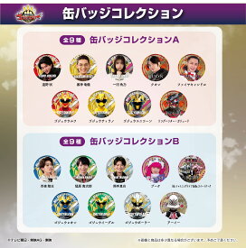 【東映 公式ライセンス商品】缶バッジコレクション ナンバーワン戦隊ゴジュウジャー 素顔の戦士シリーズ 限定商品 缶バッジ ゴジュウジャー サンスター サンスター文具