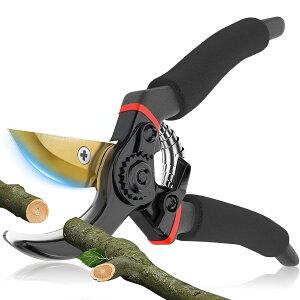 y2025NŐVŋfz΂ }؃oT~  J45mm SK85Yf| A~ ؂ꖡ ₷ Kтɂ bN[ K[fjO v ؙp }؂ ~ ϗtA