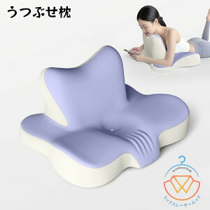 Ԃ T|[g ǏpxbhNbV X}zQȂX^h X}z ?lpԂ xbhp w Q NbV  킢 w bNX a