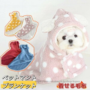 yzybg}g  ѕz L ybghbOEGA uPbg h   hbg L  h 