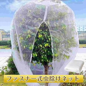 lbg hlbg ʎ ʎc h 悯 悯lbg Q΍ t@Xi[t lbg g}g