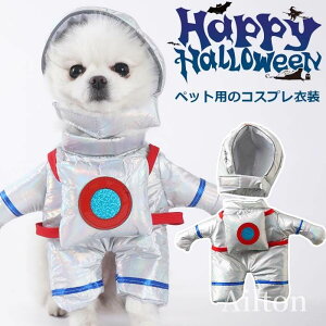 ybgp RX`[  F Fsm RXv nEB NX}X  ybg  hbOEFA ^ ^ L LO