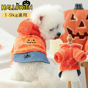 nEB ybg J{` IW L  RXv  ~  ybg̕ p[J[ L lR  RX`[  킢 ʋC _炩 nEB[  ϑ ߑ U