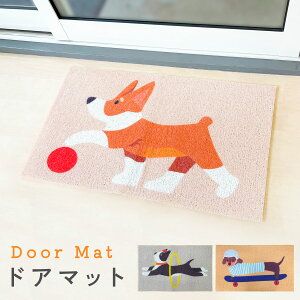 փ}bg hA}bg  Ck   CeAG 킢 DƂ ~ }bg 75×45cm doormat