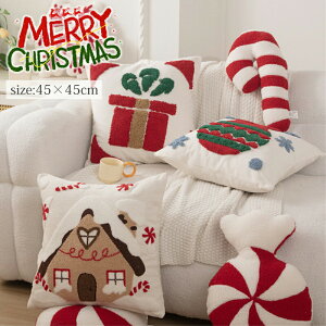 NbVJo[ 45x45cm NbV Jo[ ֎q k NbV NX}X 8F ґ zcJo[ ӂӂ _炩 \t@w \t@ ƒp ԓ Q rO Ɩp  