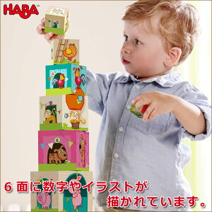 no HABA X^bNL[uEǂԂ HA5879 mߋ HABA   1  1Δ 2 3 4  oYj V 0 6 12 ςݖ z