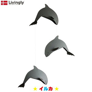 Livingly rO[ECJ LV31131 mߋ r[ k Ԃ q CeA 