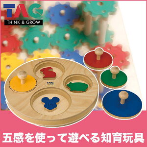 TAG ^O ]ċL悤 TGMSC7   ؐ 3 4 5 j  j̎q ̎q q LO w v[g av[g ςݖ av[g ؐߋ 