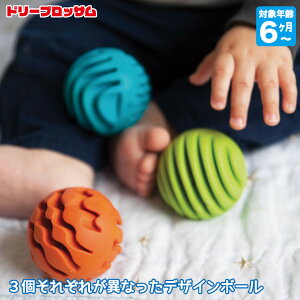 ドリームブロッサム センソリーローラーズ DB1611 知育玩具 おもちゃ シリコン 男の子 女の子 モンテッソーリ 0歳 一歳 1歳 出産祝い プレゼント