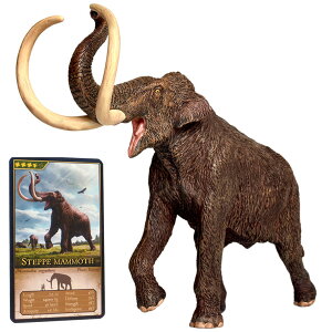 Eofauna GIt@Ei gSe[]E pIN\h fCmeE gPgvXEDominant gPgvXECryptic Rmxh EO001 ͌^   NX}Xv[g