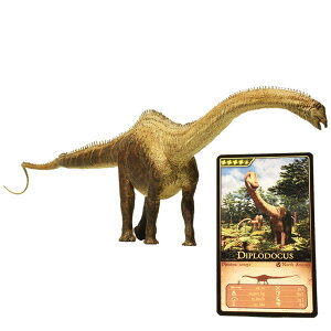 Eofauna GIt@Ei fBvhNX eBmTEXESue EO007 ͌^  