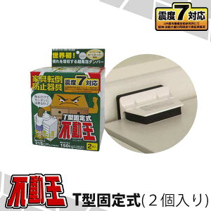 T^Œ莮s i2j FFT-009