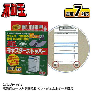 s LX^[Xgbp[ i2j FFT-012