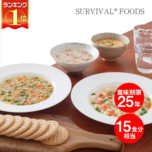 ToCot[Y ۑH 25Nۑ  (2) oGeBZbg c[Ahn[t 2.5H×6ʃZbg (15H) h  ЊQ  ~ H t[YhC ʋl LO 1 }cR