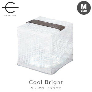 CARRY THE SUN �L�����[�U�T�� Medium �~�f�B�A�� Cool Bright �N�[���u���C�g �x���g�J���[�F�u���b�N CTSC-BKM LED�����^�� �A�E�g�h�A �L�����v �ЊQ ��� ��� ���~ ���p �\�[���[�p�l�� ���z�����d