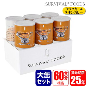 ToCot[Y ۑH 25Nۑ NbJ[&`LJ[  6ʃZbg (60H) h  ЊQ  ~ H t[YhC ʋl }cR̒mȂE 4517907160103