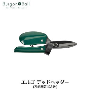 BurgonBall o[S{[ GS fbhwb_[i\|΂݁j GTO-ERGODH