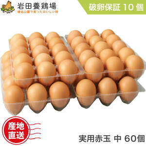  Y pԋʒ 60 jۏ10܂ c{{ ĉ Y  {   VN N Y Y Y ݂ LȂ  TKG p p yY Mt