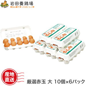  Y Iԋʑ 60(10×6pbN) c{{ ĉ Y  {   VN N Y Y Y ݂ LȂ  TKG p p yY Mtg 