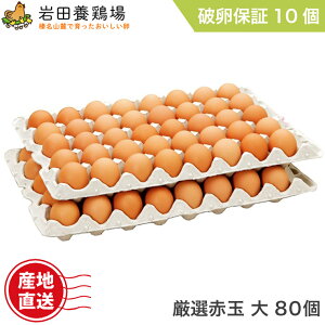  Y Iԋʑ 80 jۏ10܂ c{{ ĉ Y  {   VN N Y Y Y ݂ LȂ  TKG p p yY Mt